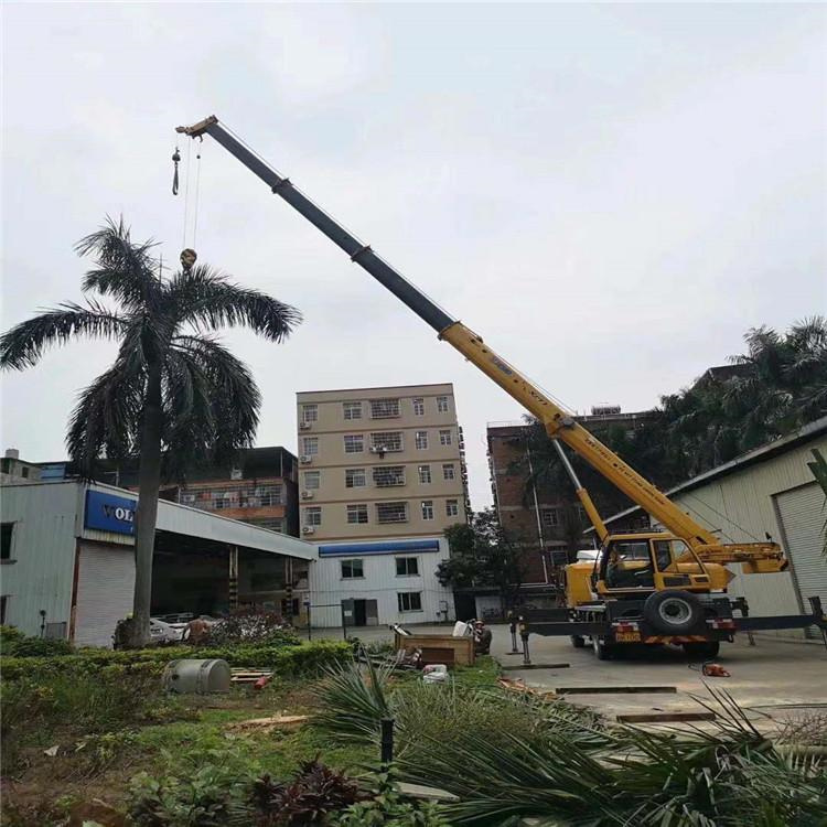 新安汽车吊出租多少钱？全面解析与市场行情